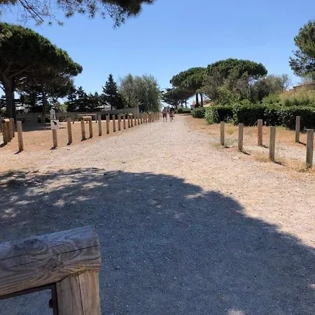 Au Clair De La Lagune